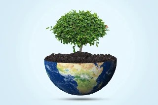 Curso Online Avaliação de Impactos Ambientais