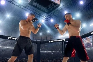 Curso Online Básico em Arbitragem de Muay Thai