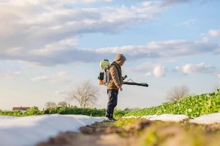 Curso Online Básico em Controle de Pragas Agrícolas