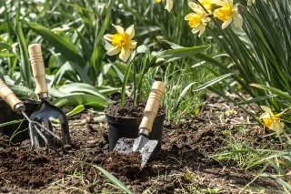 Curso Online Básico em Jardinagem e Horticultura