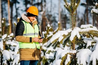 Curso Online Básico em Plano de Exploração Florestal