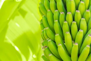 Curso Online Básico em Produção da Banana
