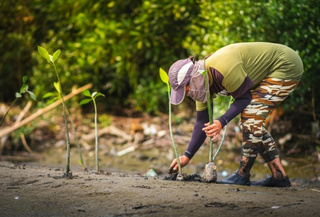 Curso Online Ecologia e Conservação da Biodiversidade